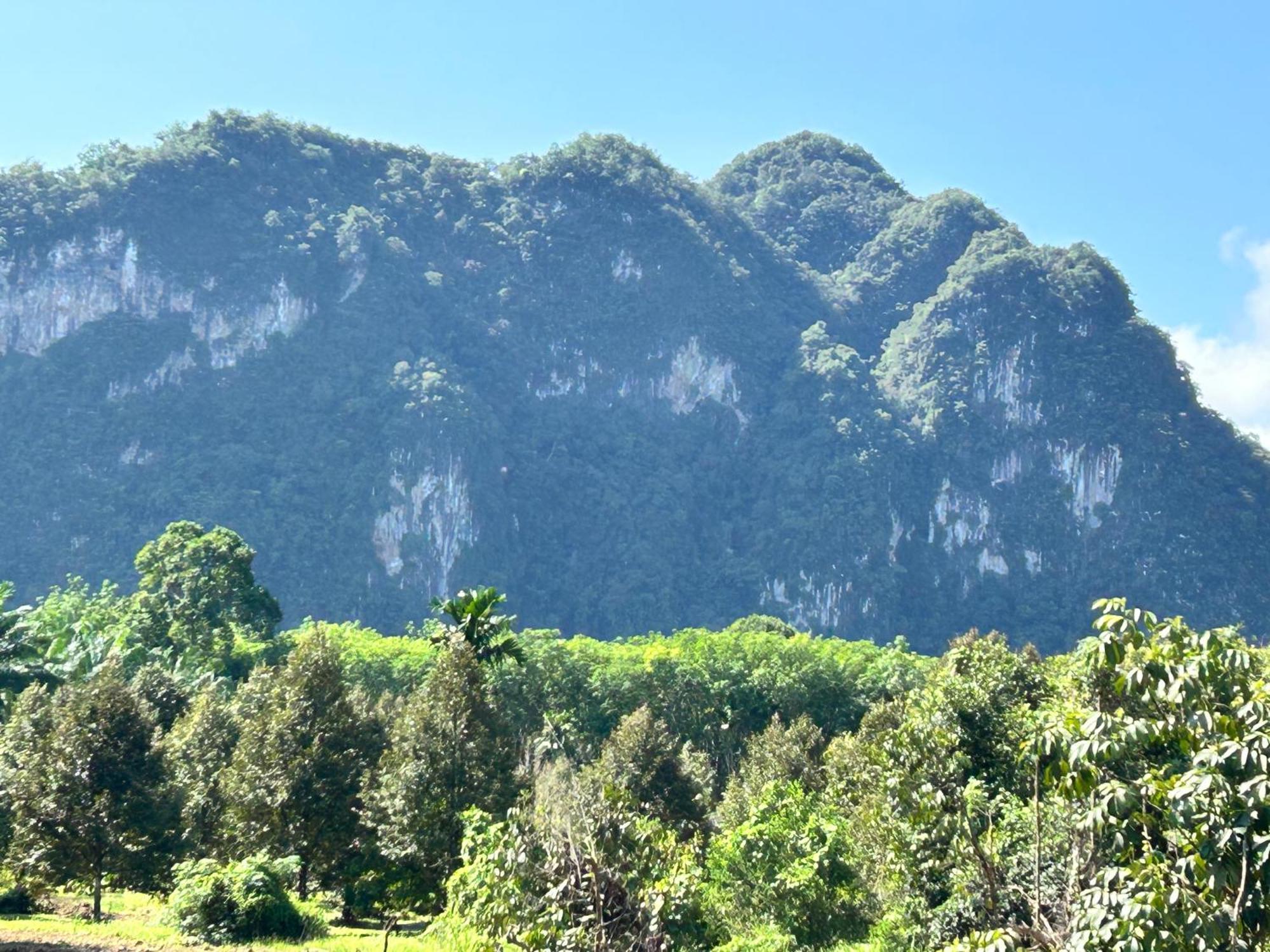 Khaosok Secret Hostel Khao Sok National Park Eksteriør bilde